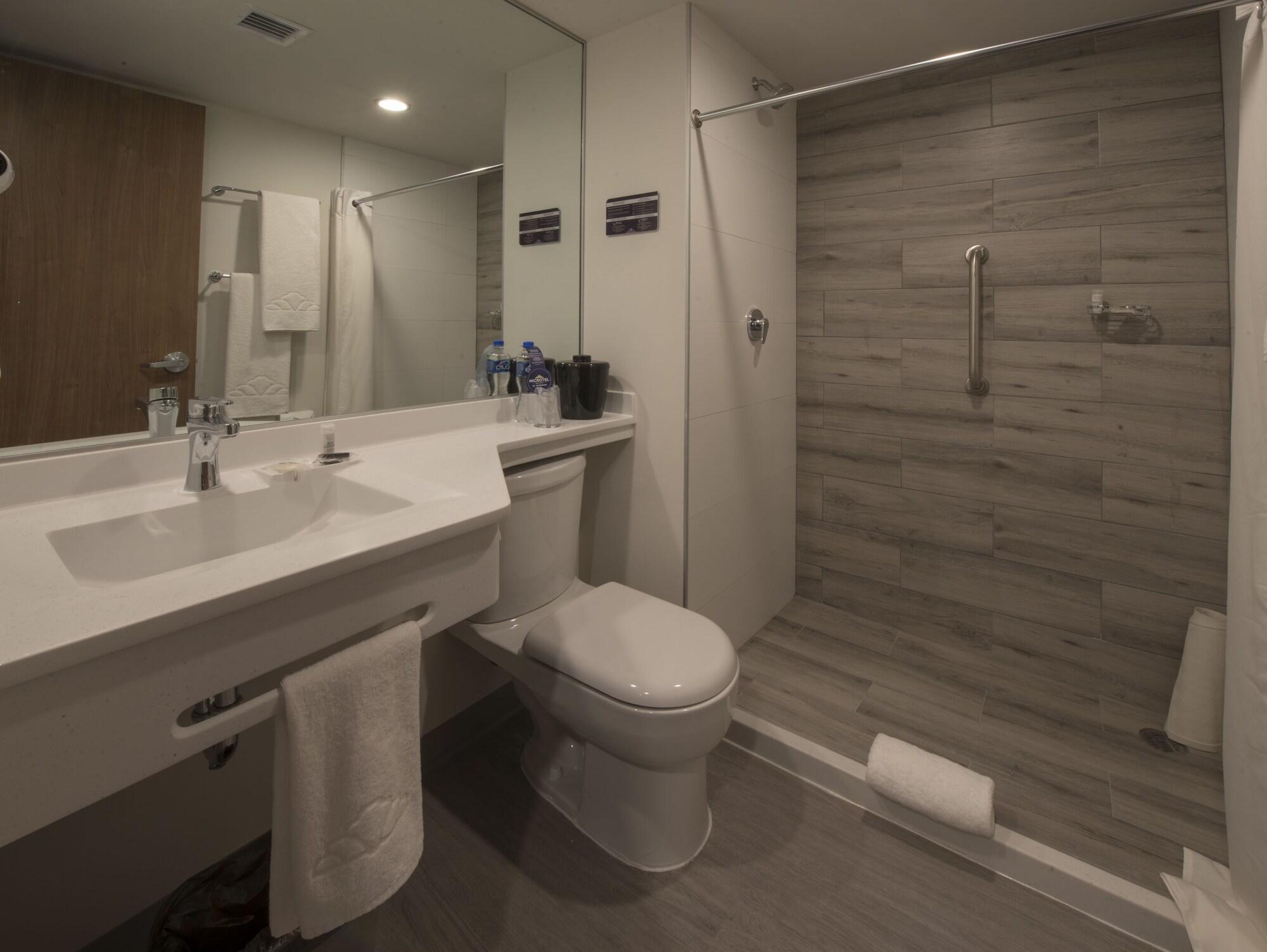 Microtel Inn & Suites By Wyndham Irapuato Eksteriør bilde